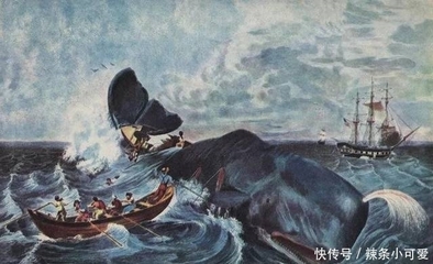 藍(lán)鯨的悲歌與新生 從屠戮邊緣到緩慢復(fù)蘇